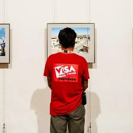 Сasa de vacaciones Le Régent - Center Perpiñán